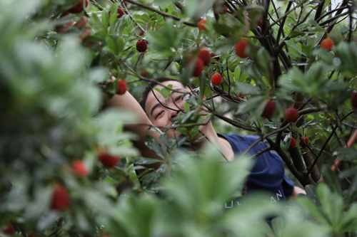 1545187215202724.jpg 說明: 林建明